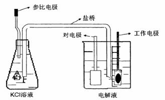 2024新澳门生肖