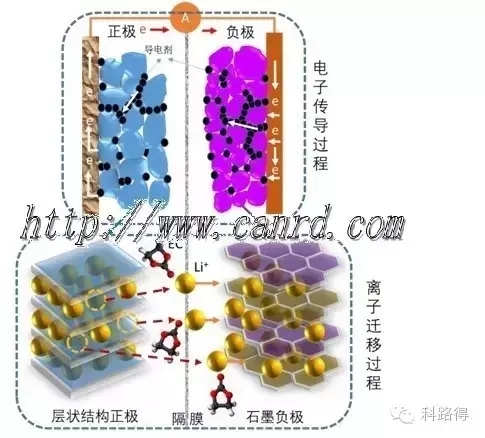 2024新澳门生肖