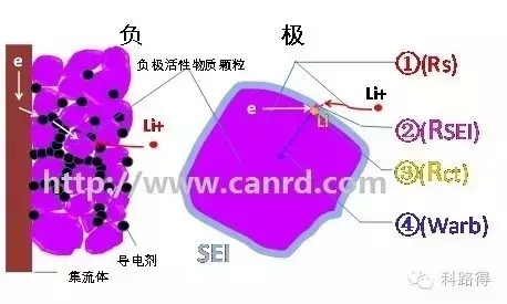 2024新澳门生肖