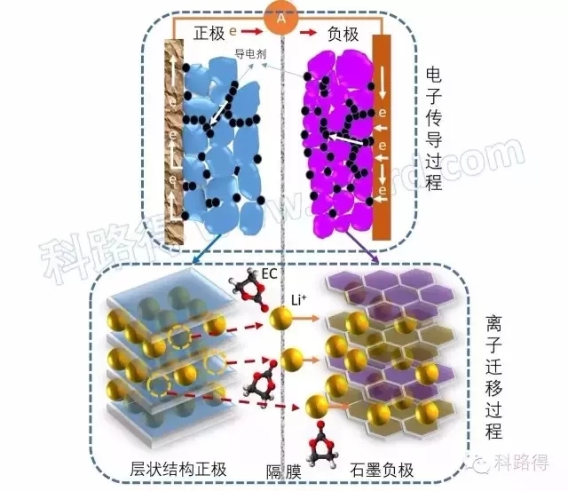 2024新澳门生肖