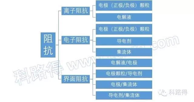 2024新澳门生肖