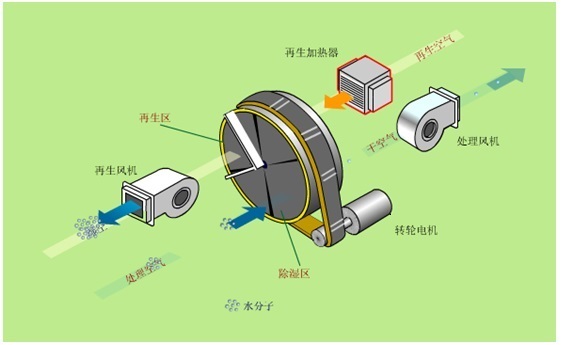 2024新澳门生肖